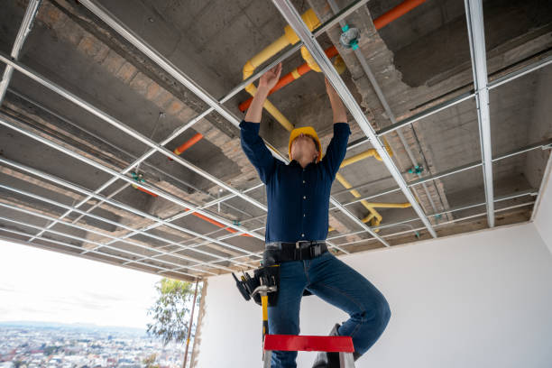 Best Leak Detection Services  in Jesup, IA